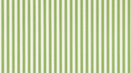 Pinetum Stripe 217255